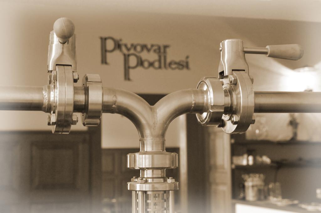 Penzion Pivovar Podlesi Příbram 外观 照片